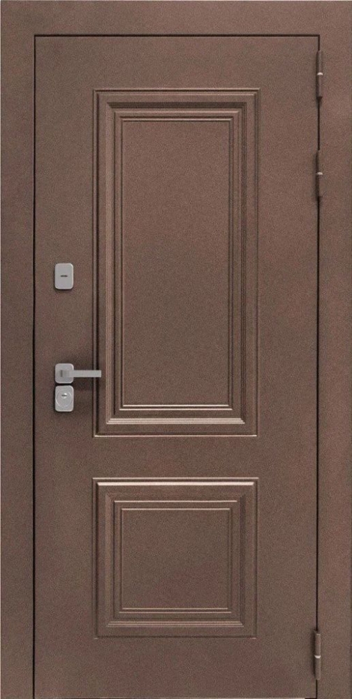 Входная дверь ДвериПРО Д-68 Фараон-2 (16мм, мореный дуб) DPRO195856 внешняя сторона